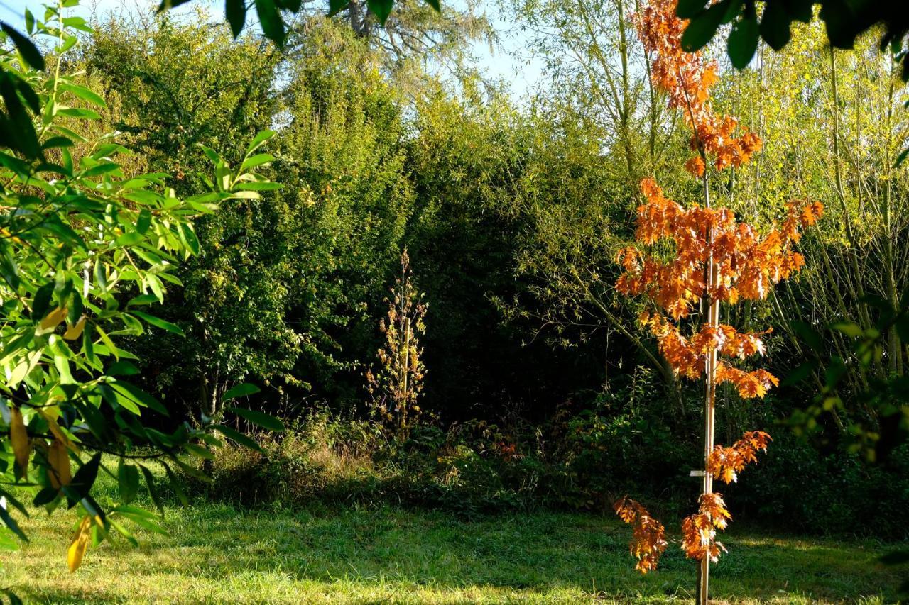 La Maison Jaune A La Janaie Parigné Exteriör bild